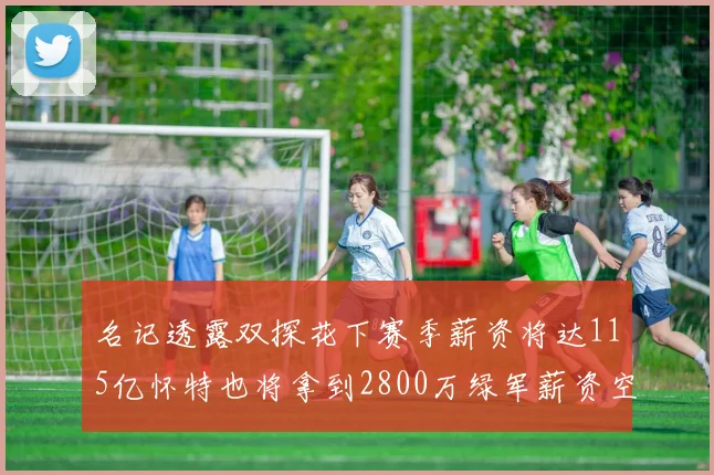 名记透露双探花下赛季薪资将达115亿怀特也将拿到2800万绿军薪资空间依旧紧张